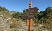 Tour Wandern Bézaudun-les-Alpes - Mont Estellier au départ de Bézaudun - Photo 2