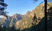 Tour Wandern Quenza - Col de Bavella-Conca Étape GR - Photo 12