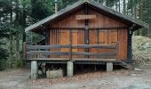 Tocht Stappen Cleurie - cleurie-la charmes-roches du thin-col du singe - Photo 10