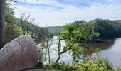 Tour Wandern Hohenfels - Marché Jean Mormont - Photo 1