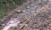 Randonnée Marche Huy - Huy  les vallons de la soliere - Photo 11