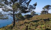 Trail Walking Crozon - FINISTÈRE-  CAP de la CHÈVRE  - Photo 7