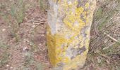 Trail Walking Valréas - borne papale  - Photo 1