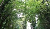 Trail Walking Parmain - Butry, Meriel, Parmain - Photo 3