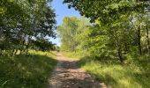 Tour Wandern Vieux-Moulin - en foret de Compiègne_38_07_2021_sur la Route Eugénie - Photo 19