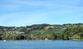 Excursión A pie Stäfa - Stäfa. Ein Dorf bewegt: Mutzmalen - Lattenberg - Photo 2