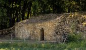 Tour Wandern Saint-Cyr-au-Mont-d'Or - Le mont Thou et le chemin des Cabornes - Photo 7