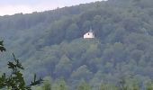 Trail Walking Rendeux - Boucle Marcourt, Beffe - Photo 1