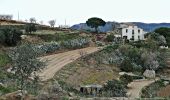 Trail On foot Arenys de Munt - SL-C 76 Arenys de Munt-El Corral - Photo 1