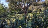 Trail Walking Fréjus - z tdm 25-01-19 - Photo 8