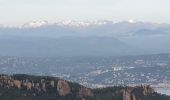 Tocht Stappen Saint-Raphaël - massif de l'Esterel : autour des grues  - Photo 5