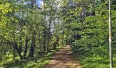 Trail Walking Juvisy-sur-Orge - GRP CV-IDF 2023 - Photo 13