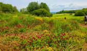 Trail Walking Saints-Geosmes - Boucle 18 km incluant Cohons et la source de la Marne - Photo 5