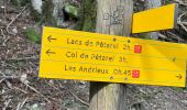 Tour Wandern La Chapelle-en-Valgaudémar - Valgo2 - J2 : Col de Pétarel  - Photo 1
