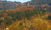 Tocht Te voet Lautenbach - Lautenbacher Hexensteig - Photo 7