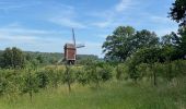 Randonnée Marche Aerschot - S-GR Hageland: Aarschot - Kortrijk-Dutsel - Photo 8