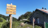 Tour Wandern Chézery-Forens - Cret de la Goutte 13.5 km D+650 m 20210811 - Photo 3