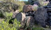Excursión Senderismo Ollioules - SityTrail - 1041295 - le-destel-grotte-des-joncs - Photo 4
