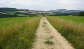 Tocht Te voet Tewkesbury - Windrush Way - Photo 6