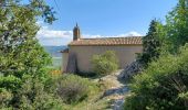 Trail Walking Château-Arnoux-Saint-Auban - CHATEAU ARNOUX .  Chapelle S Jean o l - Photo 19