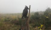 Tocht Stappen Rendeux - Bois de Tave 8 onbewegwijzerd - Photo 1