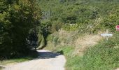Trail Walking Suzette - Suzette-saint Amand-pas du loup - Photo 6