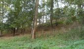 Trail Walking Canteleu - 20221029-Canteleu - Photo 12