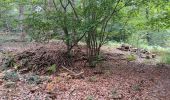 Trail Walking Aywaille - dieupart . embleve . thier bosset . kin . henoumont . vieux jardin . dieupart  - Photo 13