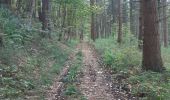 Randonnée Marche Chaudfontaine - via bois des dames et bois de la rochette  - Photo 6