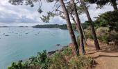 Tocht Stappen Cancale - RA 2023 La pointe du Grouin - Photo 5