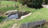 Tour Zu Fuß Kastl - Jurasteig Rechenfels-Schlaufe - Photo 6