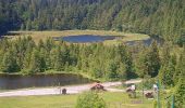 Randonnée Marche La Bresse - Lac de Lispach et sentier Dielaine  - Photo 3