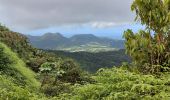 Excursión Senderismo Le Lorrain - Morne Jacob au Panneau ONF - Photo 4