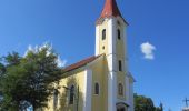 Tour Zu Fuß Mettersdorf am Saßbach - Sarossa Krenweg - Photo 8