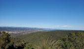 Tocht Stappen Cavalaire-sur-Mer - Cogolin - Photo 1