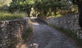 Randonnée Marche Mérindol - Les gorges de regallon à partir de Merinol - Photo 20