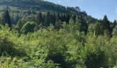 Tour Reiten Sankt Quirin - Rocher du diable Yoigo et Joyeux en main - Photo 6