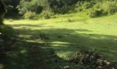 Trail Walking Sainte-Anne - Modette Caraque  - Photo 2