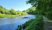 Trail Walking Bouillon - Botassart 240523 - Photo 7