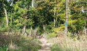 Trail Walking Étréchy - Forêt Régionale d'Etrechy - Photo 5