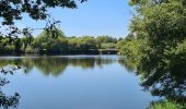 Tocht Stappen Glomel - Tour de l'etang du Corong depuis Mézouët - Photo 16