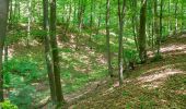 Tocht Te voet Höxter - Erlesene Natur - Dem Wasserdrachen auf der Spur - Photo 6