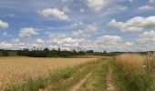Trail Walking Dinant - FOY GPX BERLAGE - Photo 16