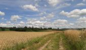 Tour Wandern Dinant - FOY GPX BERLAGE - Photo 16