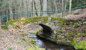 Tour Zu Fuß Friedrichroda - Großer Rundwanderweg Finsterbergen - Photo 1