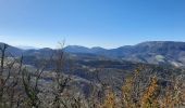 Tocht Stappen Vesc - Vesc Montagne du Ruy 18km - Photo 8