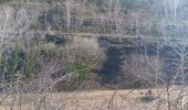 Randonnée Marche Santa Pau - la Garrotxa : volcan Santa Margarida et volcan de Croscat - Photo 7