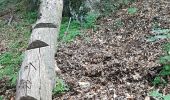 Randonnée Marche Fontan - Chemin des Drôles  - Photo 4