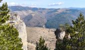 Excursión Senderismo Ispagnac - Salanson /Rocher de la Table /Montmirat  - Photo 4