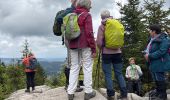 Trail Walking Feldberg - Neuglashütten -Feldberg - Photo 16